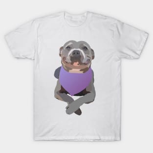 Smiling Dog - Digital Art T-Shirt